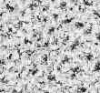 Quadrollage